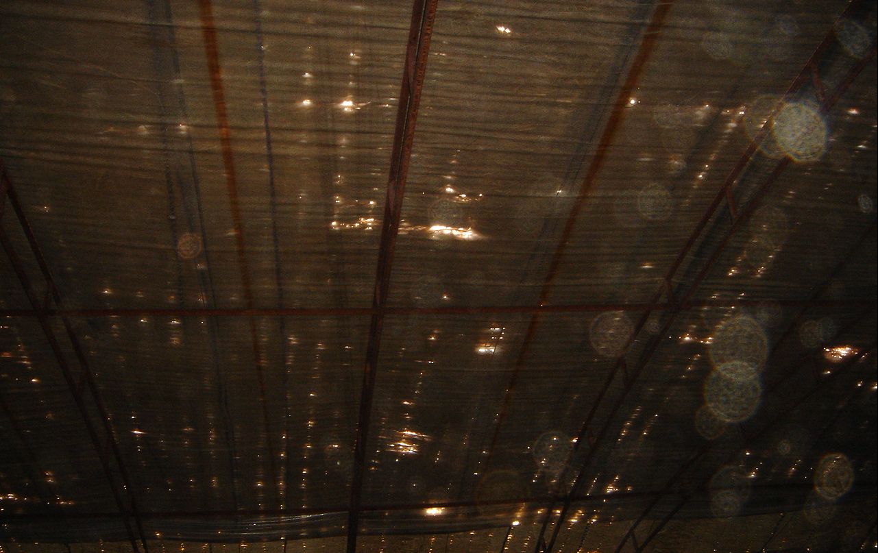 大风天气蔬菜生产应对措施