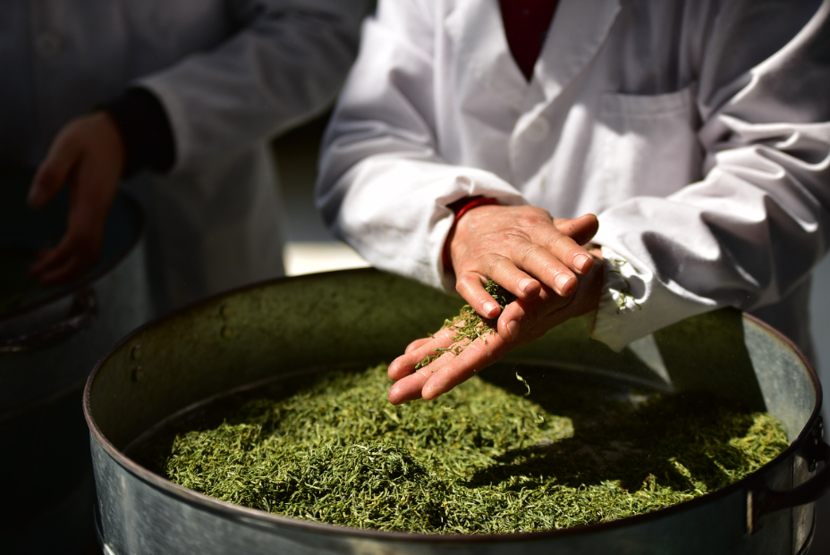 1712541955575810.png 1.png