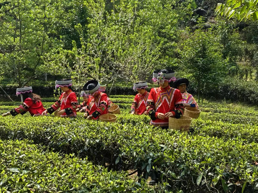 1713146885313834.png image.png