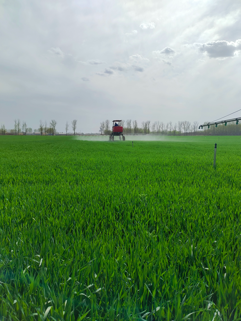 1713172086693590.png image.png