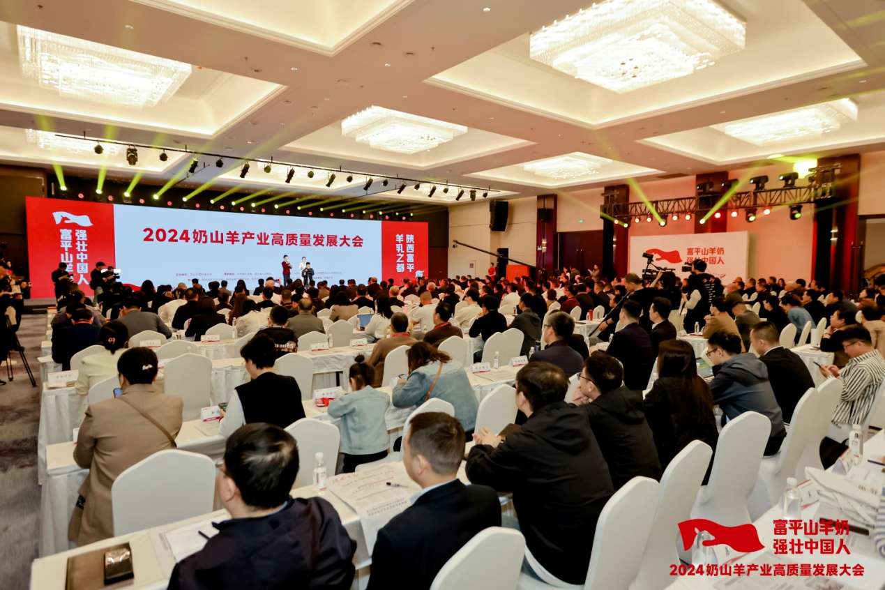 1713256840832683.png 图片1.png