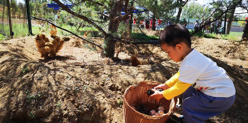 1713331613953771.png image.png