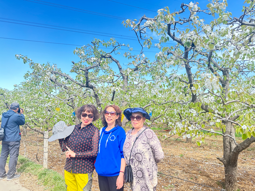 1713331716913776.png image.png