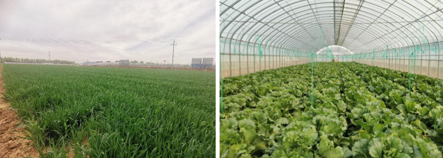 1713518504827174.png image.png