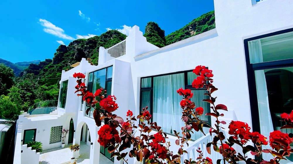 1713519467875296.png image.png