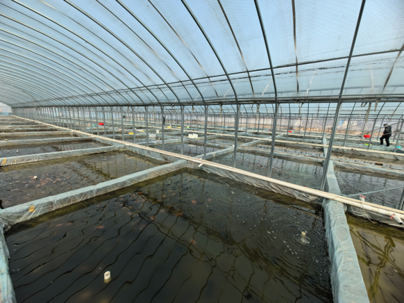 1713519847456156.png image.png