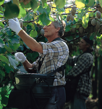 1713778666179967.png image.png