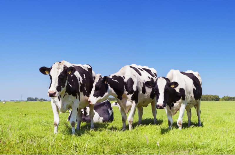 1714371128582880.jpg 图片3.jpg