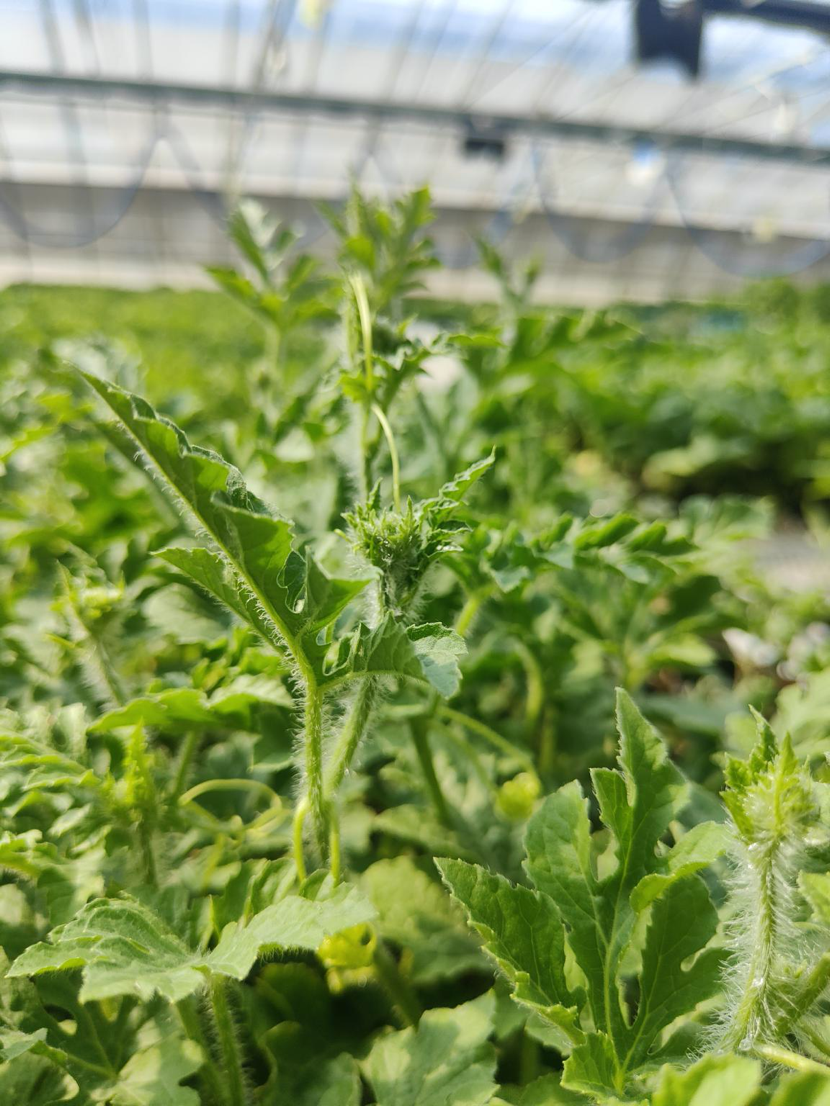 1714472627963628.png image.png