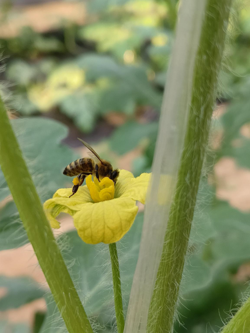 1714472652809739.png image.png