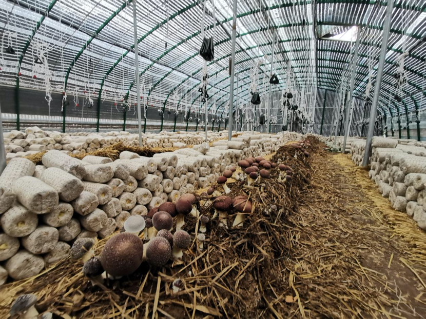 1714618389229561.png image.png