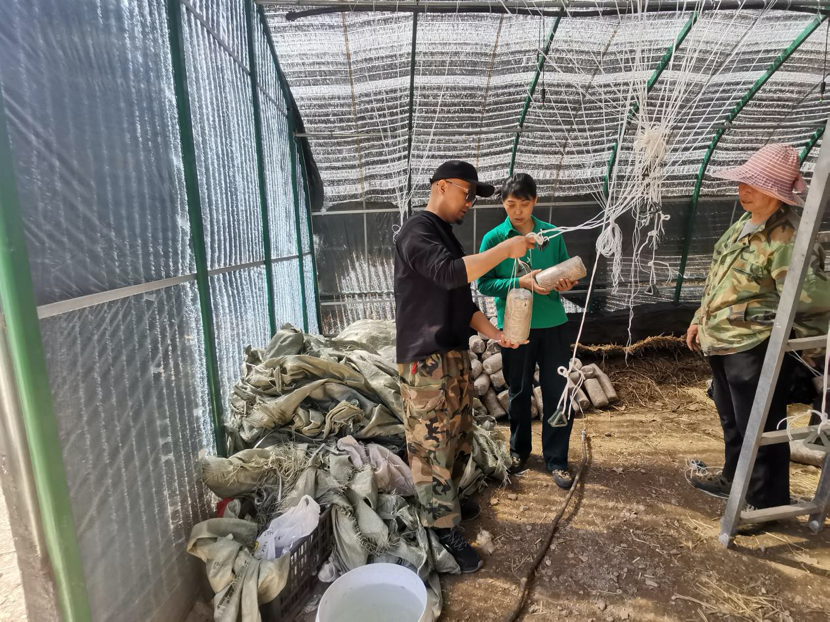 1714618415403914.png image.png