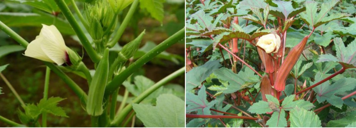 1715049493155311.png image.png