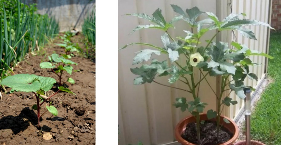 1715049720699946.png image.png