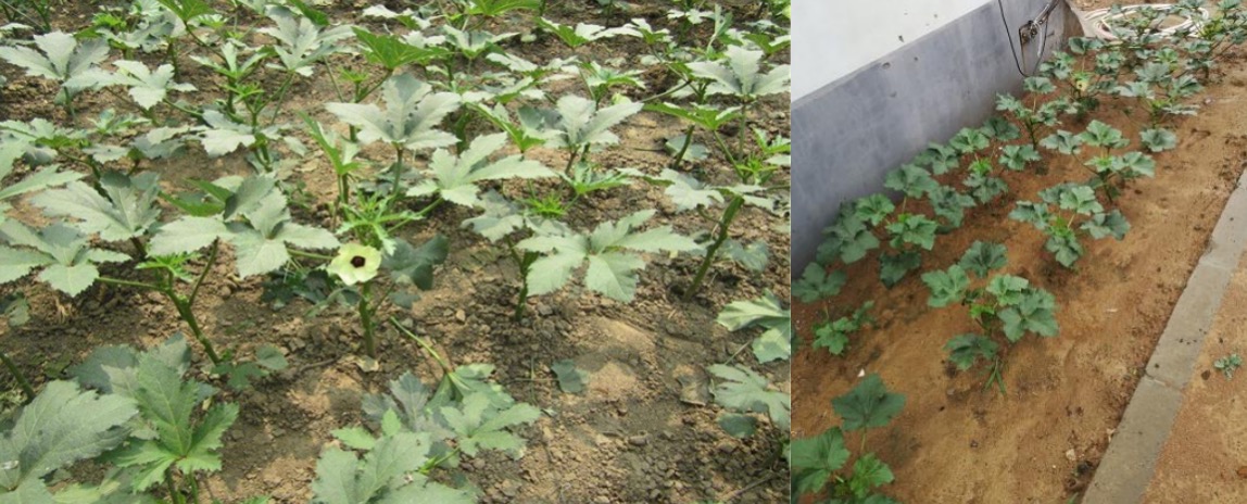 1715049755496268.png image.png