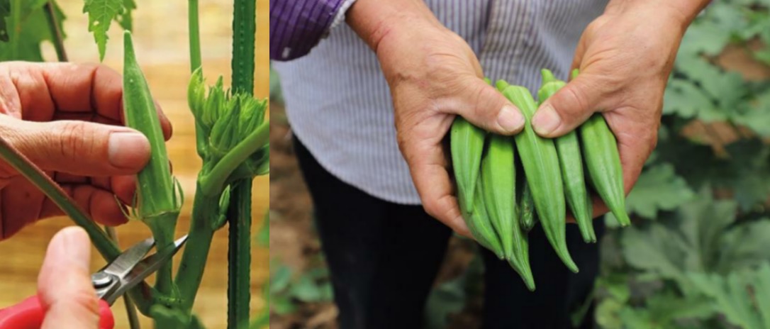 1715049792426094.png image.png