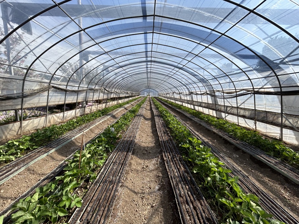 1715050356523064.png image.png