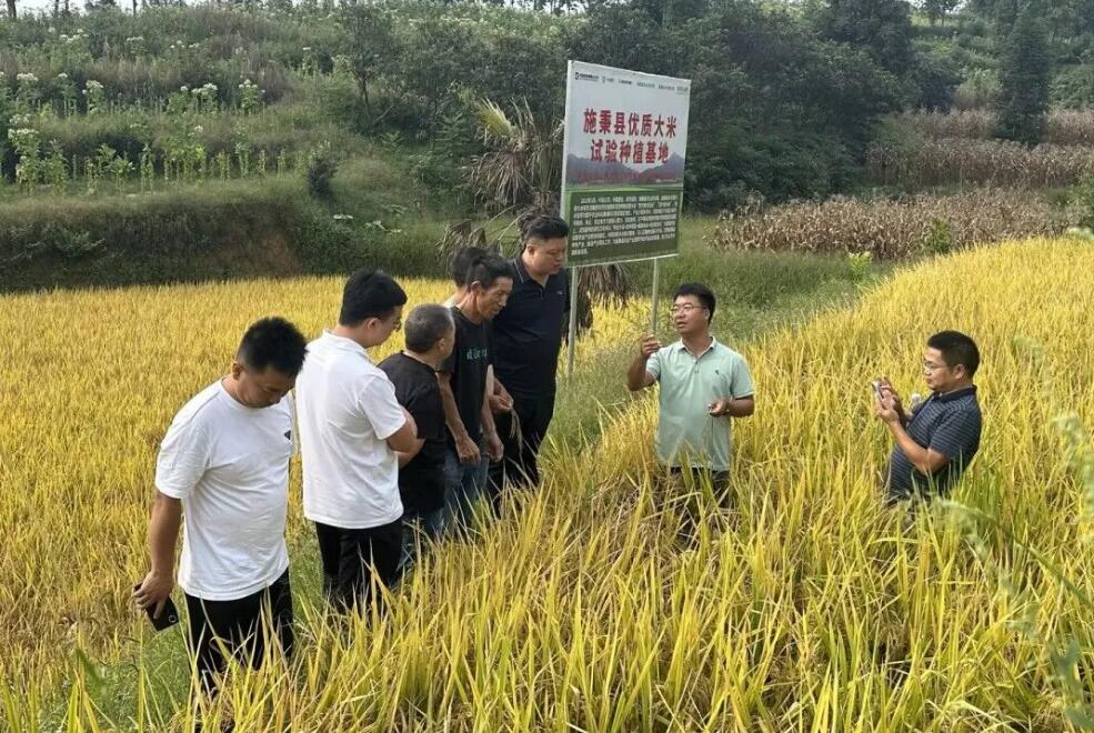 1715070396959521.jpg QQ截图20240507162551.jpg